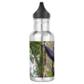 Bouteille d'eau de chimpanzé (Gauche)