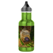Bouteille d'eau de forêt tropicale de paresse (Droite)
