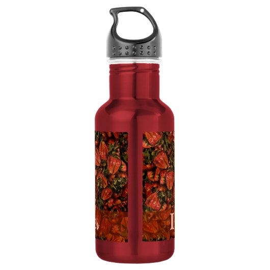 Bouteille d'eau de fraises (Dos)