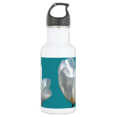 Bouteille D'eau de la (Devant)