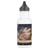 Bouteille d'eau de l'écureuil (Gauche)