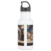 Bouteille d'eau de l'écureuil (Dos)