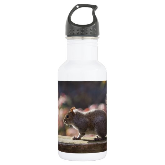 Bouteille d'eau de l'écureuil (Devant)