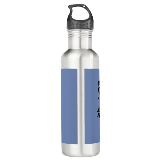 Bouteille d'eau de logo de rr (Dos)