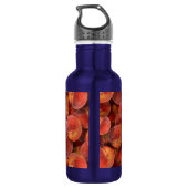 Bouteille d'eau de pêche (Dos)