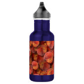 Bouteille d'eau de pêche (Droite)