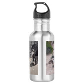 Bouteille d'eau de pingouin (Dos)