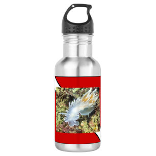 Bouteille d'eau de plongée