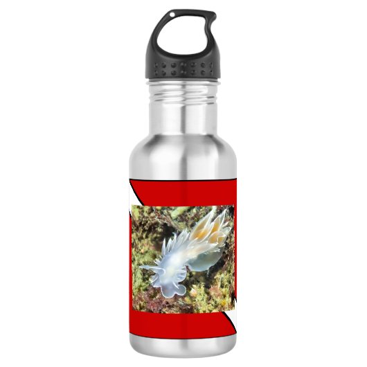 Bouteille d'eau de plongée (Devant)
