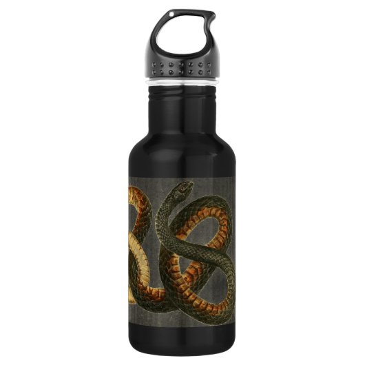 Bouteille d'eau de serpent de Coachwhip (Devant)