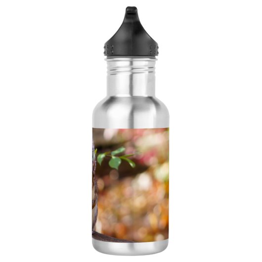 Bouteille d'eau d'écureuil (Droite)