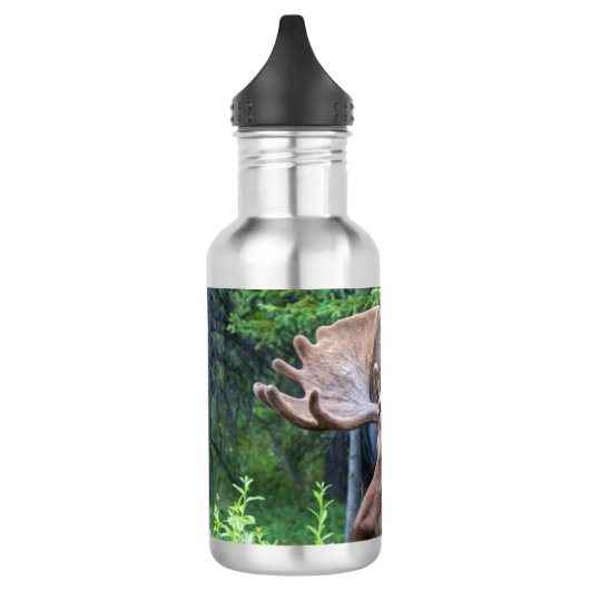 Bouteille d'eau d'élan (Gauche)