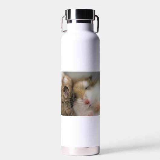 Bouteille D'eau Déplacer vers Bob (Avant)
