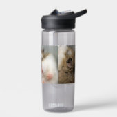 Bouteille D'eau Déplacer vers Bob (Gauche)