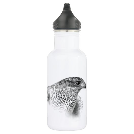 Bouteille D'eau Dessin Goshawk (Droite)