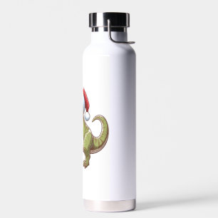 Bouteille D'eau Dinosaure sucre de canne de Noël mignon