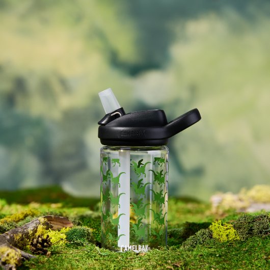 Bouteille D'eau Dinosaures (Extérieur)
