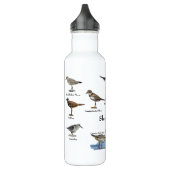 Bouteille d'eau d'oiseaux de rivage (Gauche)