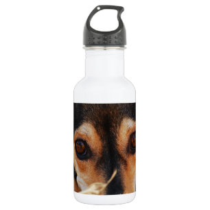 Bouteille D'eau Doux chien pondre dans le foin
