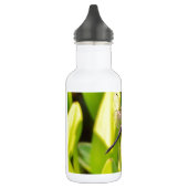 Bouteille D'eau Dragonfly Blue et noir sur l'herbe. (Gauche)