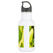 Bouteille D'eau Dragonfly Blue et noir sur l'herbe. (Dos)