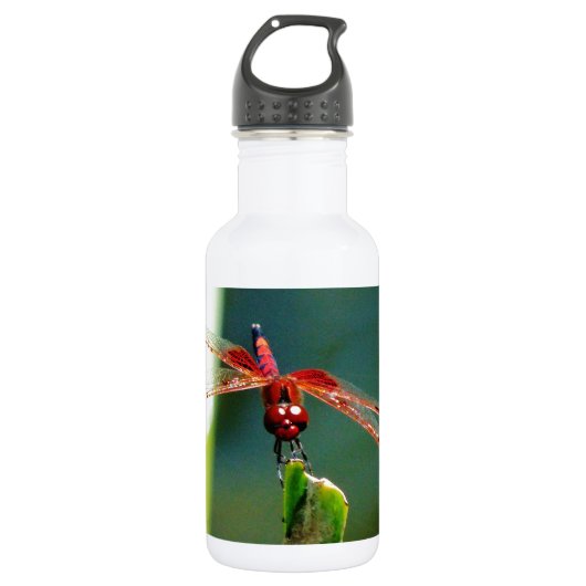 Bouteille D'eau Dragonfly frontale rouge et noire (Devant)