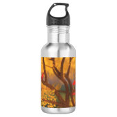 Bouteille d'eau du Gardien d'automne (Devant)
