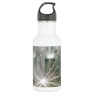 Bouteille D'eau Eau brillante sur un pissenlit blanc