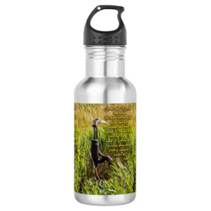 Bouteille D'eau Eau vive John 4 Inspiration