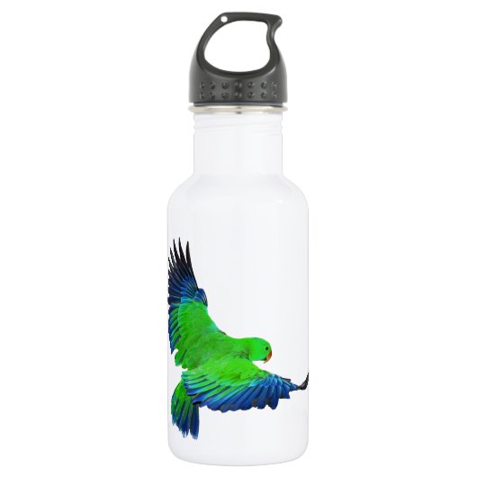 Bouteille D'eau Eclectus masculin (Devant)