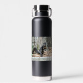 Bouteille D'eau Écureuil (Arrière)