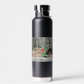 Bouteille D'eau Écureuil (Gauche)