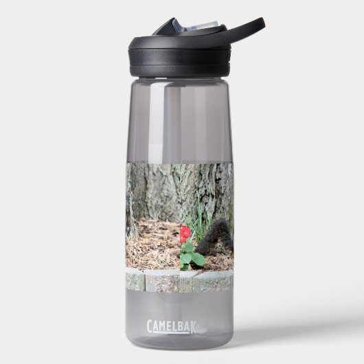Bouteille D'eau Écureuil (Gauche)