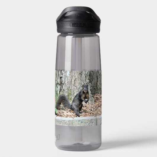 Bouteille D'eau Écureuil (Arrière)