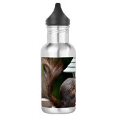 Bouteille D'eau Écureuil à l'éleveur d'oiseaux (Gauche)