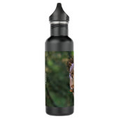 Bouteille D'eau Écureuil rouge souillé dans le Fir (Gauche)