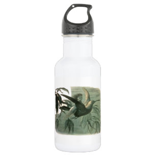 Bouteille D'eau Elf Fairies Elves Lune Scène nocturne Oiseau Volan