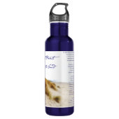 Bouteille D'eau empreintes dans le sable (Devant)