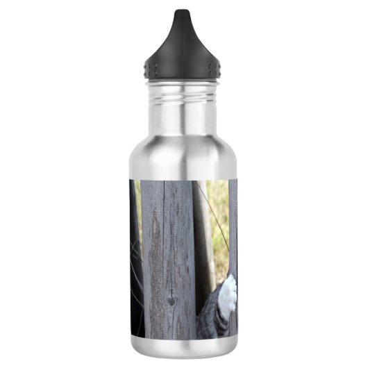 BOUTEILLE D'EAU EN ACIER INOXYDABLE 野良猫ニャン吉【逃走中】 (Gauche)