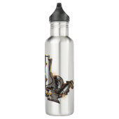 Bouteille d'eau en acier inoxydable (18 oz. & 24 o (Droite)