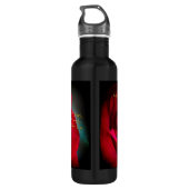 Bouteille D'eau En Acier Inoxydable 1 Pierre 1:9 Bordure noire (Dos)