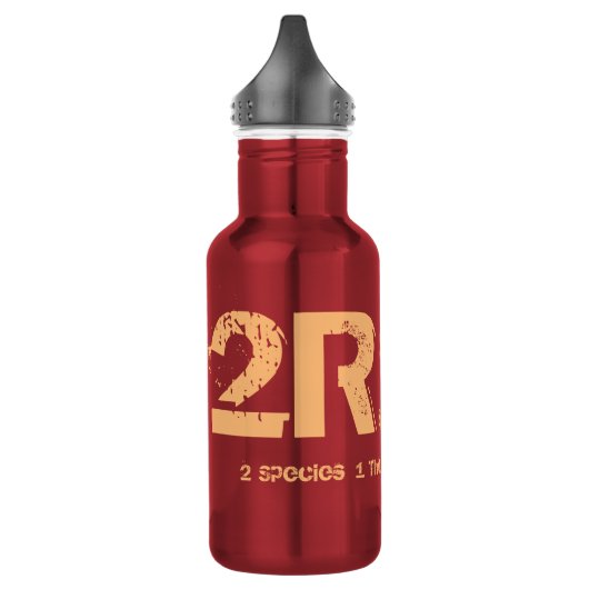 Bouteille D'eau En Acier Inoxydable 2R1 (2 espèces - 1 pensé) (Gauche)