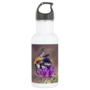 Bouteille D'eau En Acier Inoxydable Abeille mignonne sur un chardon