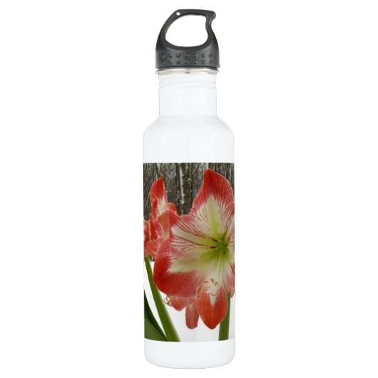 Bouteille D'eau En Acier Inoxydable Amaryllis en Fête Rouge Neige Hiver Floral (Devant)