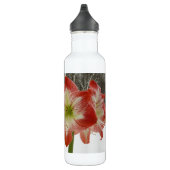 Bouteille D'eau En Acier Inoxydable Amaryllis en Fête Rouge Neige Hiver Floral (Droite)