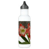 Bouteille D'eau En Acier Inoxydable Amaryllis en Fête Rouge Neige Hiver Floral (Gauche)