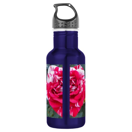 Bouteille D'eau En Acier Inoxydable Ancienne (Dos)