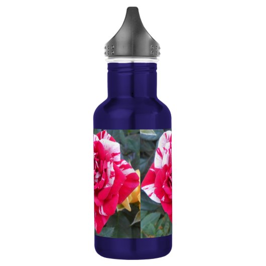 Bouteille D'eau En Acier Inoxydable Ancienne (Gauche)