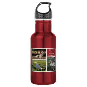 Bouteille D'eau En Acier Inoxydable Animaux de Noël Style Austral - Personnalisable