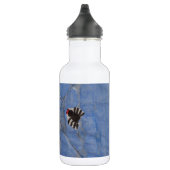 Bouteille D'eau En Acier Inoxydable Art par Enfants, Araignée avec toile, dessin (Droite)